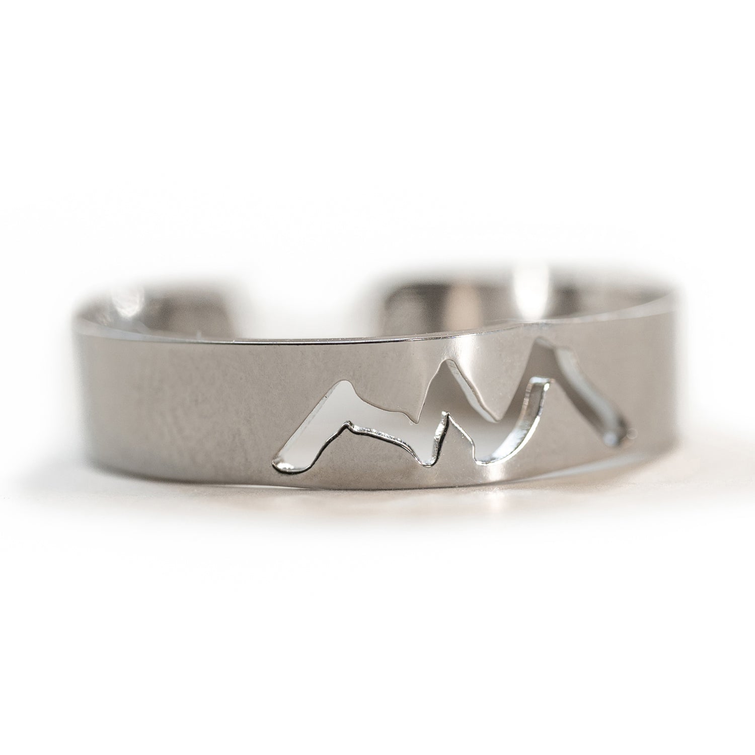 Three Sisters Band ring adjustable stainless steel